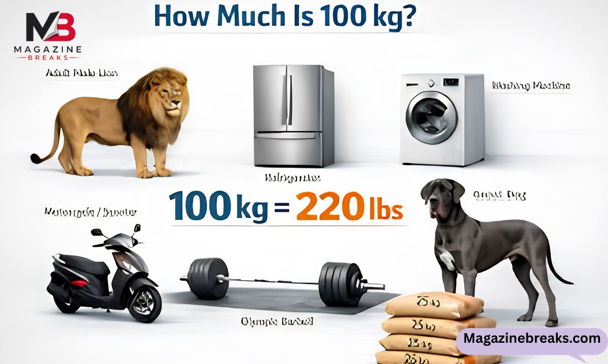 How Much Is 100 Kg? 11 Common Things That Weigh 100Kg