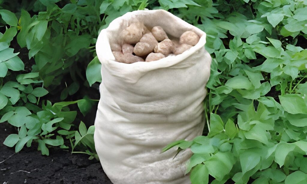 Ten Sacks of Potatoes