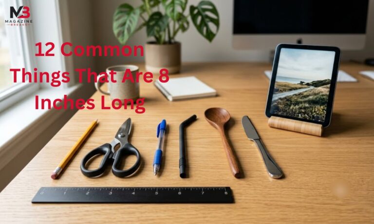 12 Common Things That Are 8 Inches Long