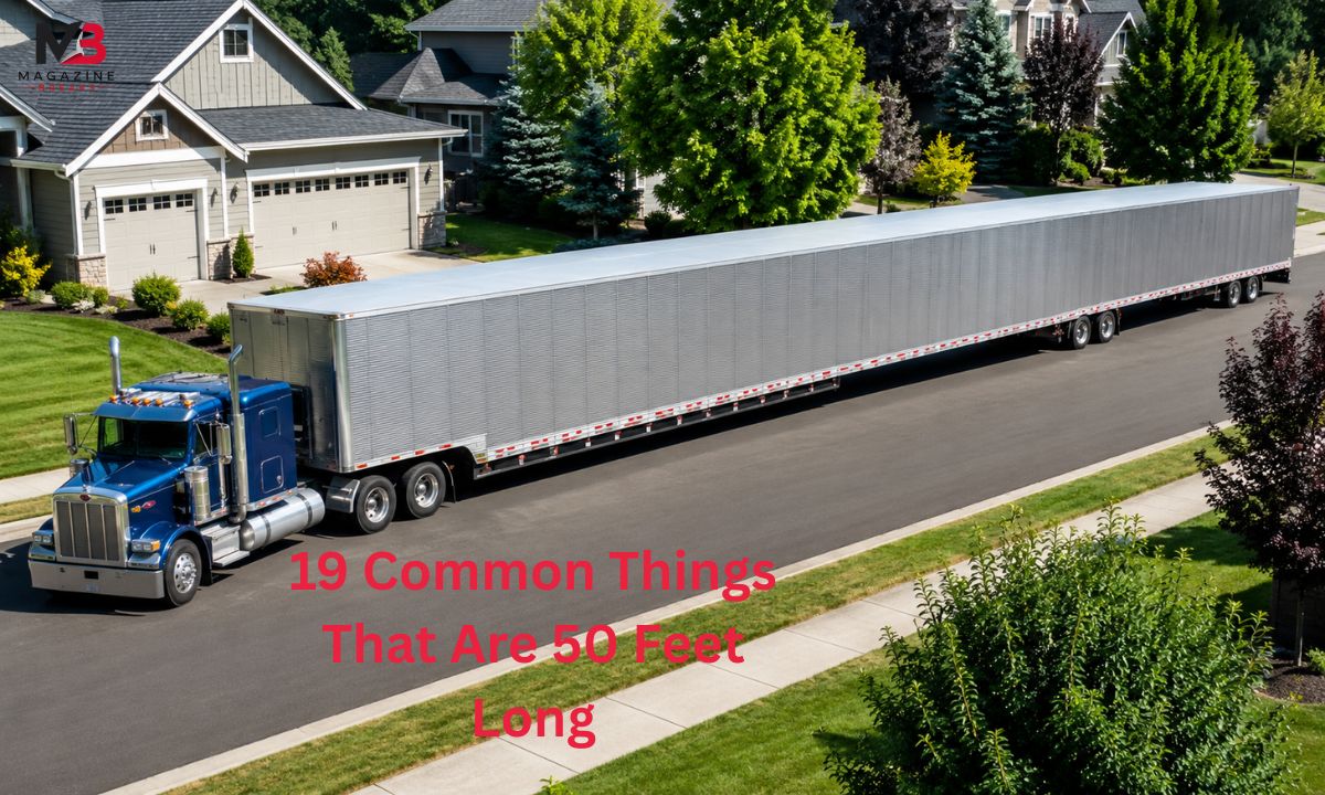 19 Common Things That Are 50 Feet Long