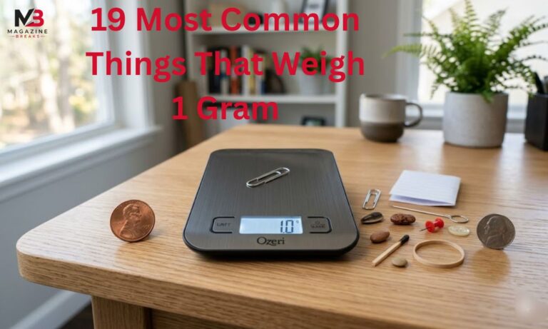 19 Most Common Things That Weigh 1 Gram