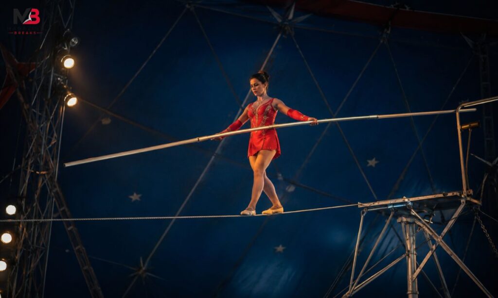 Circus High Wire