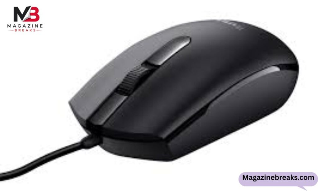 Computer Mouse