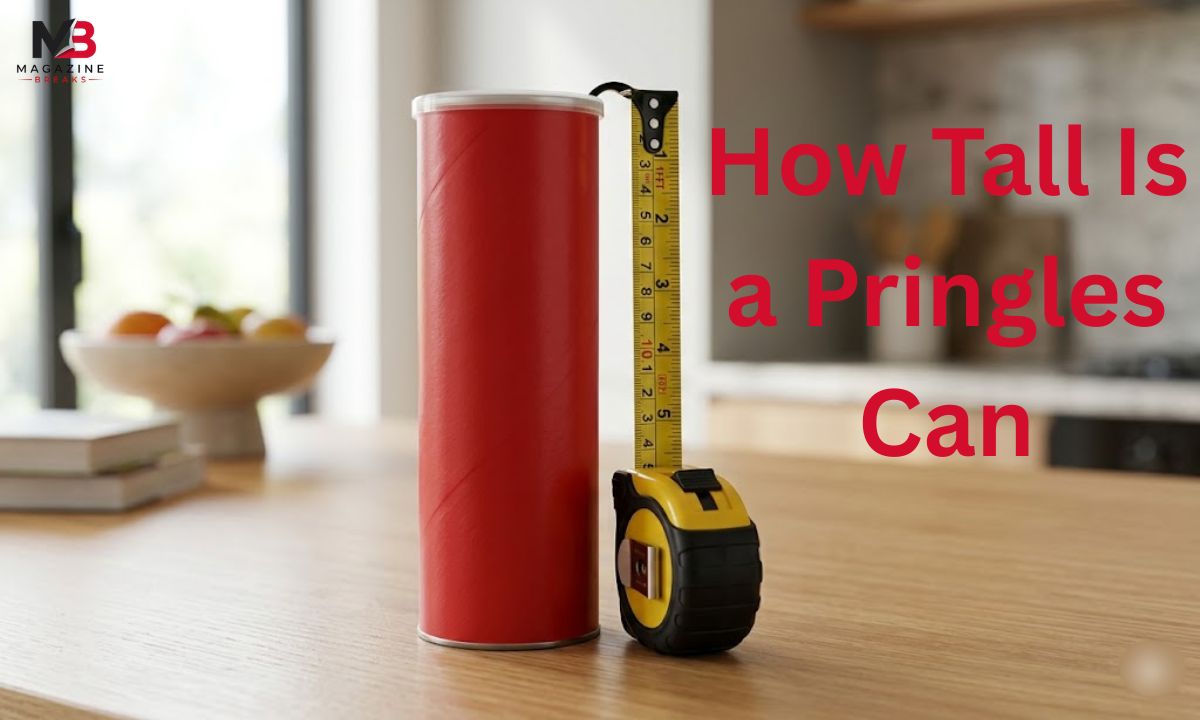 How Tall Is a Pringles Can