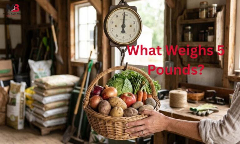 What Weighs 5 Pounds?