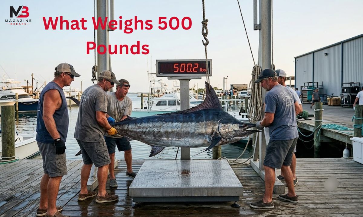 What Weighs 500 Pounds