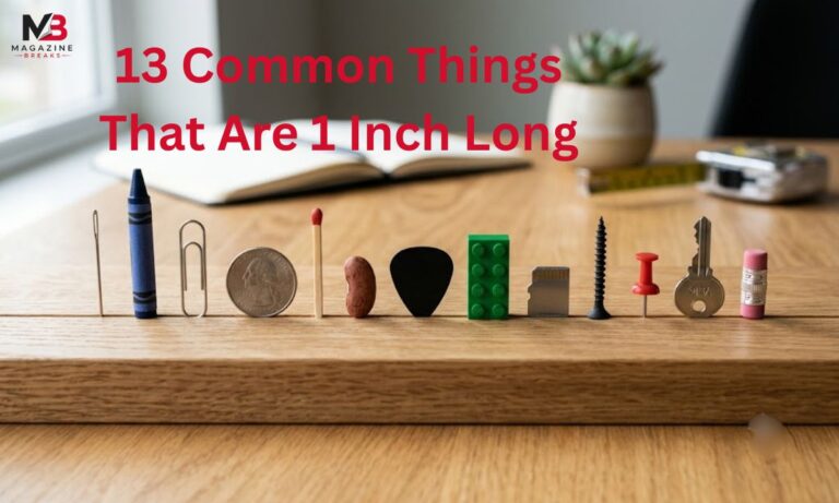 13 Common Things That Are 1 Inch Long
