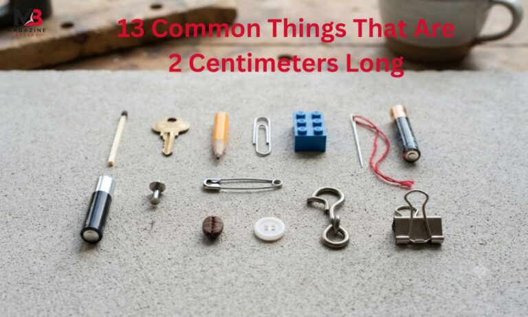 13 Common Things That Are 2 Centimeters Long