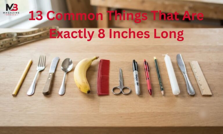 13 Common Things That Are Exactly 8 Inches Long