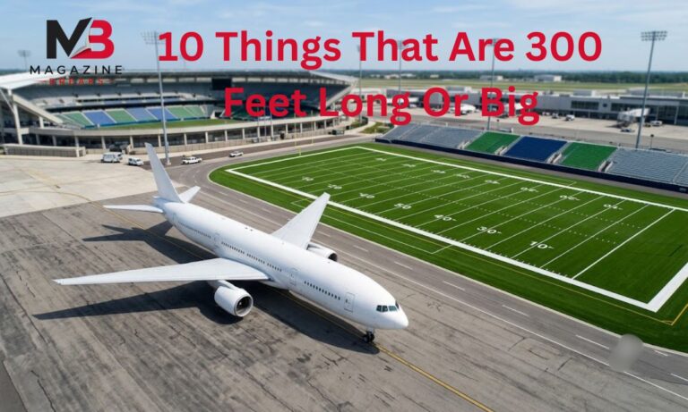 10 Things That Are 300 Feet Long Or Big